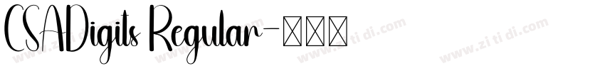 CSADigits Regular字体转换
